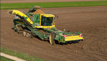 Nederlandse boeren oogsten aardappelen op de velden tijdens de herfst