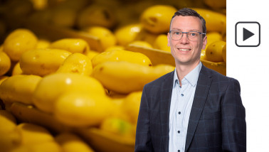 aardappelen