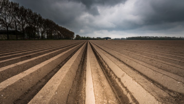 Open akkerland na het poten van pootaardappelen, kale grond met dreigende donkere wolken boven het Nederlandse landschap