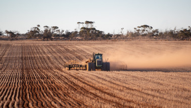 Boer zaait droog tarwe met GPS-gestuurde directe zaaimachine in Kimba, Zuid-Australië, onder droge omstandigheden