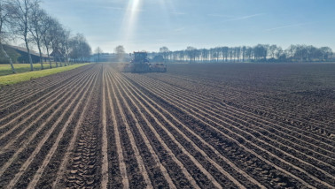 Uien zaaien op een akkerbouwperceel, gewasteelt in de landbouw