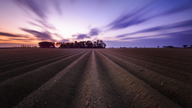 Vroege zonsopkomst boven een aardappelveld bij een boerderij in Nederland