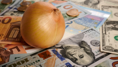 Ui op Amerikaanse dollar- en eurobankbiljetten, symboliseert de waarde van uien als landbouwproduct