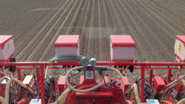 Uien zaaien op een akker, onderdeel van akkerbouwteelt