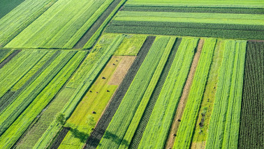Luchtfoto van strokenteelt in Nederland, duurzame akkerbouw