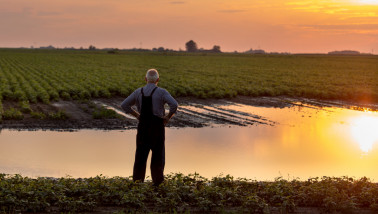 Overstromingen, extreem weer en wateroverlast beïnvloeden land en gewas