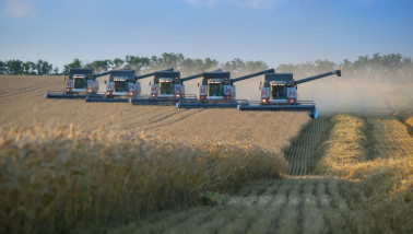 arweoogst in Rusland met zes combines op een rij, grootschalige akkerbouwoogst