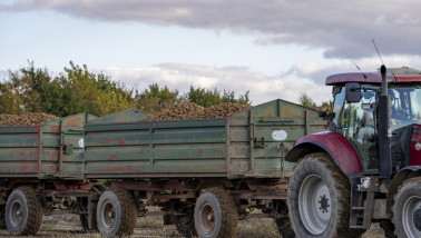 Duitsland aardappel aardappel opladen
