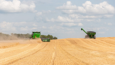 Tarweoogst in North Dakota, VS met een combine in een gouden veld