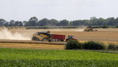 graanoogst frankrijk