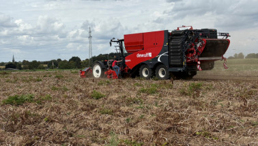 Aardappel rooien op de Weuthen Kartoffeltag 2025