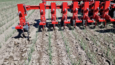 Onkruidbestrijding in akkerbouw