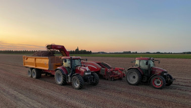 Aardappels rooien, twee trekkers op een akker