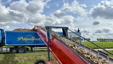 Fritesaardappelen laden voor Schaap