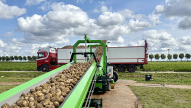 Aardappelen gaan vanaf land naar verwerker