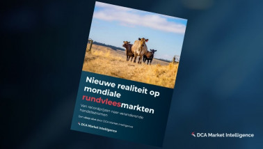 Whitepaper van DCA Market Intelligence over de mondiale markt van rundvlees