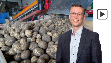 aardappeloogst aardappelbewaring