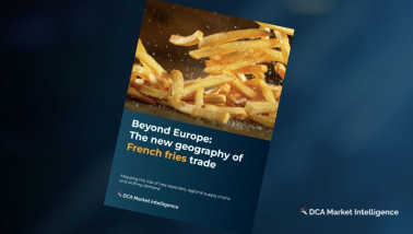 Whitepaper DCA Market Intelligence: Frietmarkt