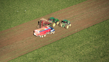 Bietenrooien in de Verenigde Staten