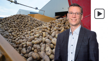 aardappelen aardappeloogst