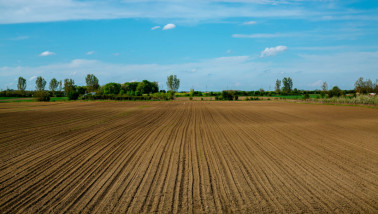 Een uitgestrekt Nederlands landbouwveld met keurig geploegde rijen onder een heldere blauwe lucht, symbool voor moderne akkerbouw en duurzame landbouw.