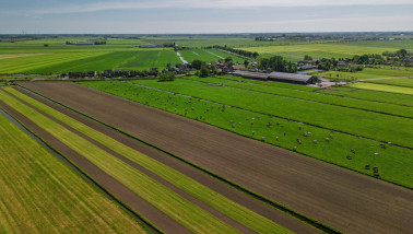 Luchtfoto van groene landerijen met grazende koeien, vers geploegde velden en verre windturbines onder een helderblauwe hemel op het Nederlandse platteland.