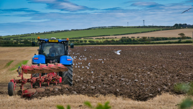 Ploegen van tarwestoppel in Engeland met een New Holland trekker