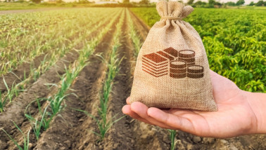 Linnen zakje met geldsymbool in hand boven landbouwveld, symbool voor agrarische investeringen