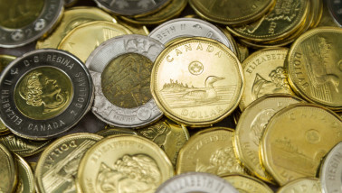 Meerdere Canadese dollars, loonie genoemd