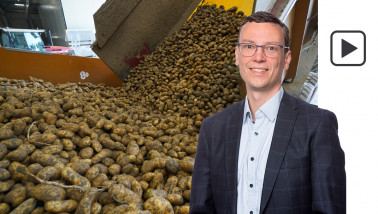 aardappelen aardappeloogst