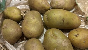 Groene aardappelen in supermarkt