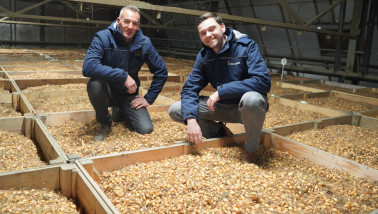 Twee mannen in een schuur hurken op een partij eerstejaars plantuien