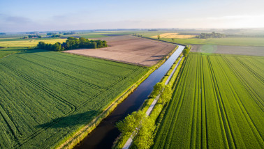 Nederlands agrarisch landschao