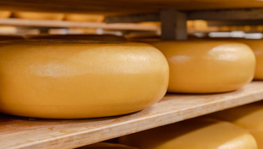 Kaas rijpend op houten planken, zuivelproduct