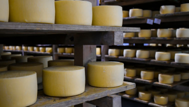 Kaas op planken in de fabriek