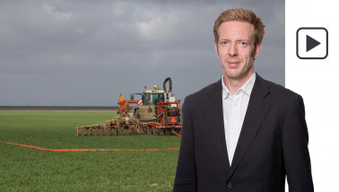 wintertarwe tarwe bemesten