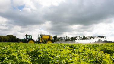 Trekker met veldspuit besproeit een groen gewas onder een bewolkte lucht.