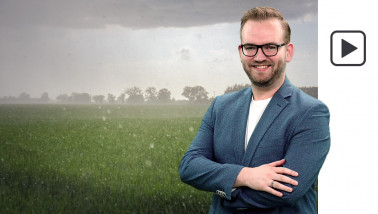 regen tarwe