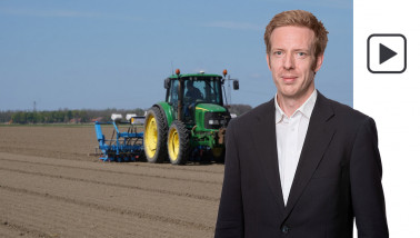Uien zaaien