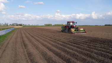 Treker poot aardappelen op akker.
