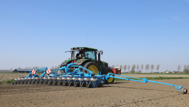 Bieten zaaien