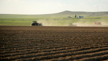 Aardappelen poten in Idaho