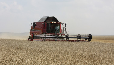 Combine tarwe dorsen