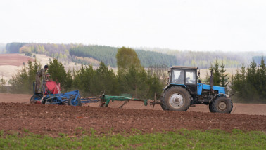 Zaaien en een Belarus in Rusland