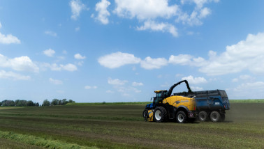 Hakselaar oogst gras op een uitgestrekt veld onder een blauwe lucht met verspreide wolken.