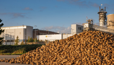 Cosun Beet Company