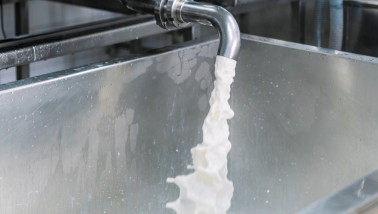 Melk gieten uit een kraan in een vat tijdens de verwerking in een moderne zuivelfabriek