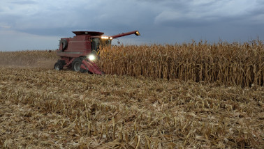 Combine in korrelmaïs