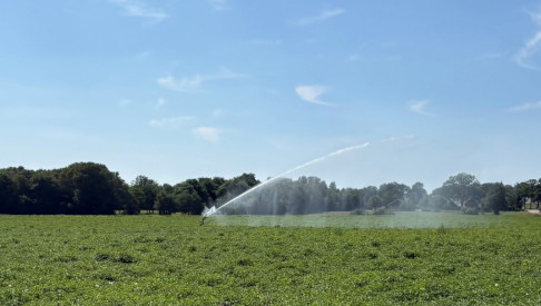 Ketensamenwerking werkt alleen bij gelijkwaardigheid