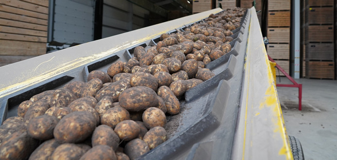 Entreposage innovateur pour pommes de terre